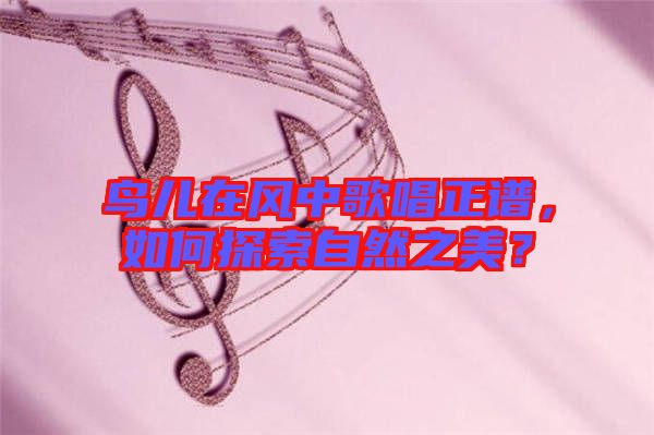 鳥(niǎo)兒在風(fēng)中歌唱正譜，如何探索自然之美？