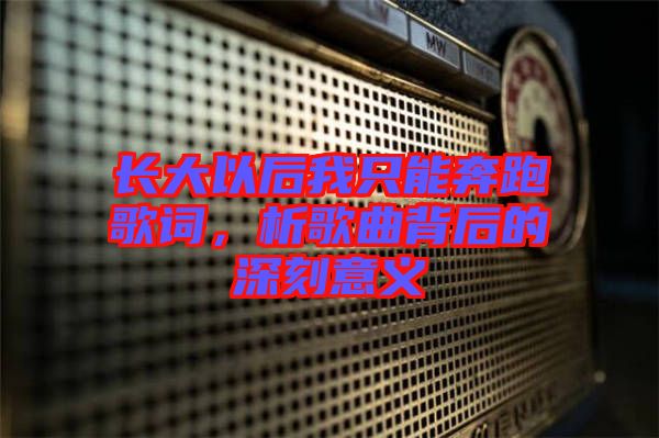 長大以后我只能奔跑歌詞，析歌曲背后的深刻意義