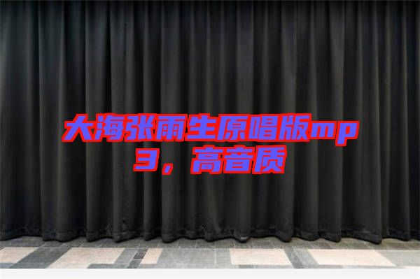 大海張雨生原唱版mp3，高音質(zhì)