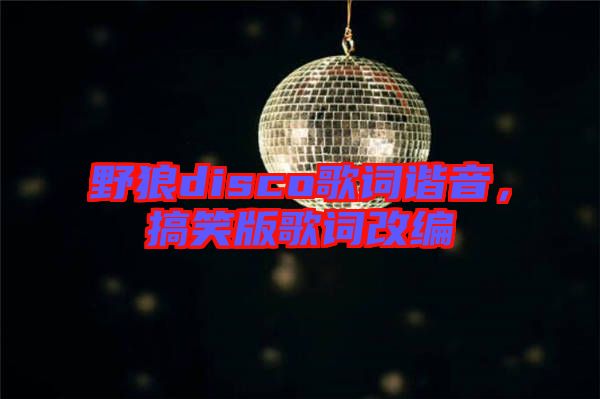 野狼disco歌詞諧音，搞笑版歌詞改編