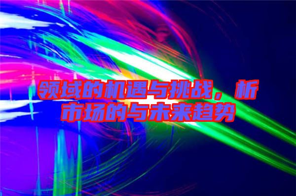領域的機遇與挑戰，析市場的與未來趨勢